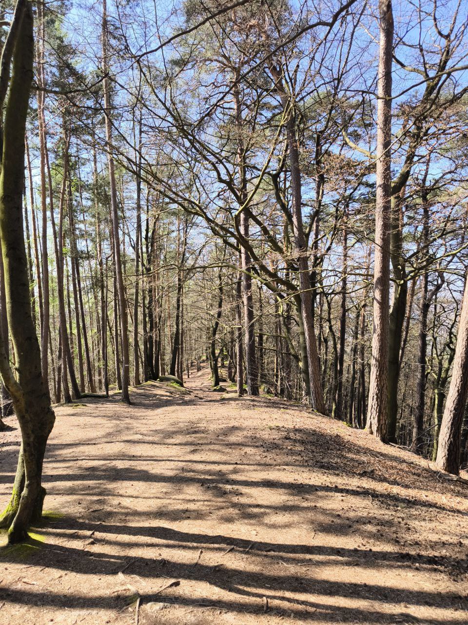 Burgenhopping in der Pfalz