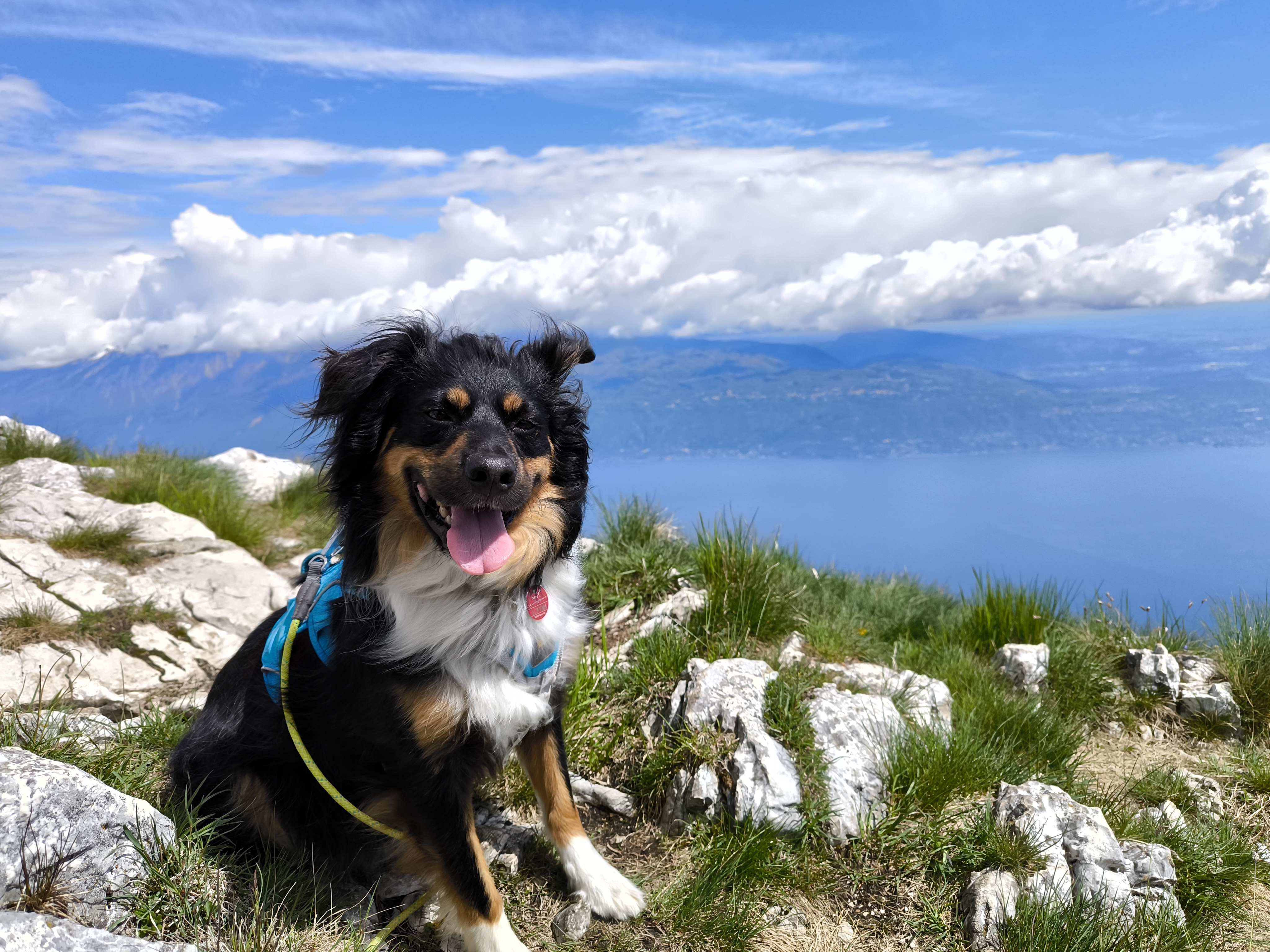 Wanderung auf den Monte Pizzocolo