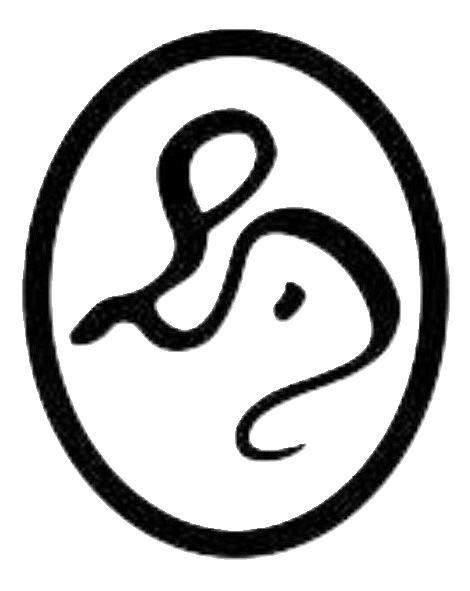 Hadewin – Ein Blog