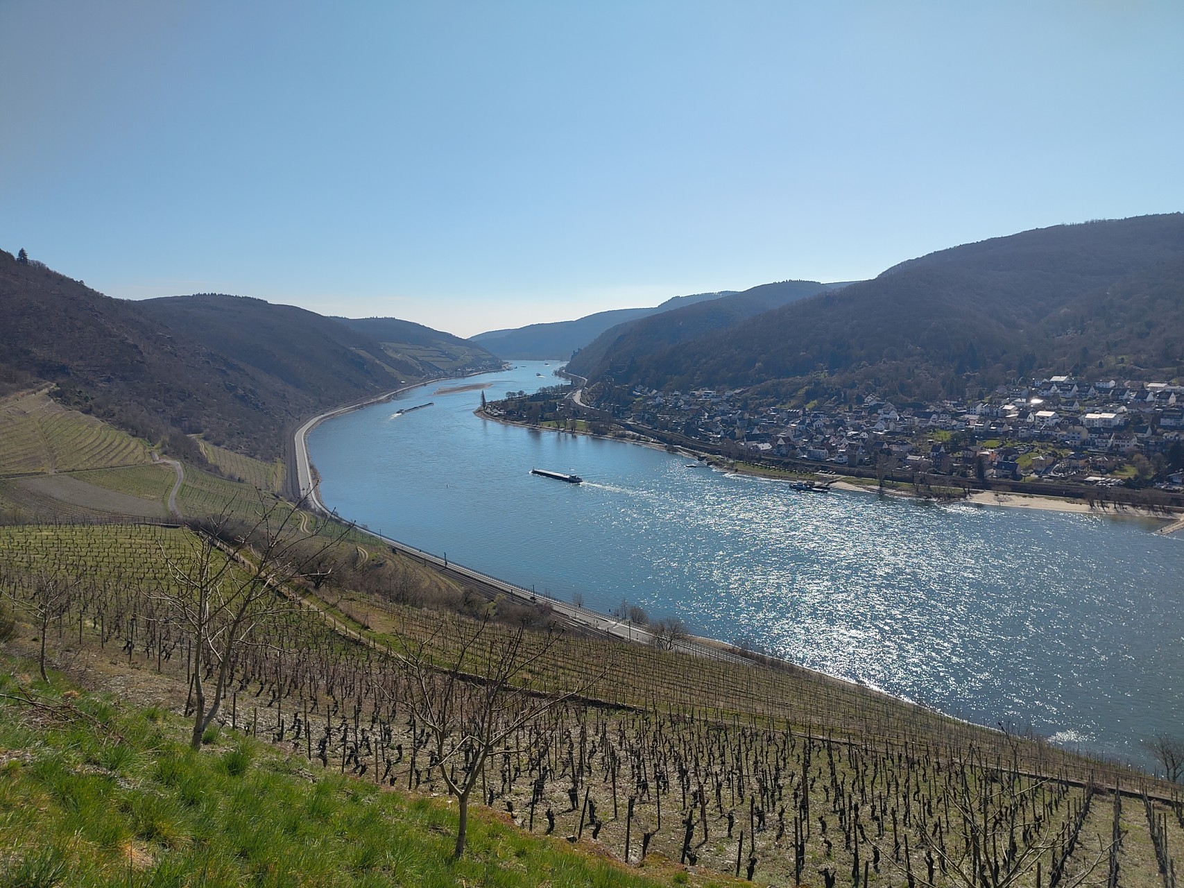 Rhein Wanderung im März durch Weinberge und Wälder